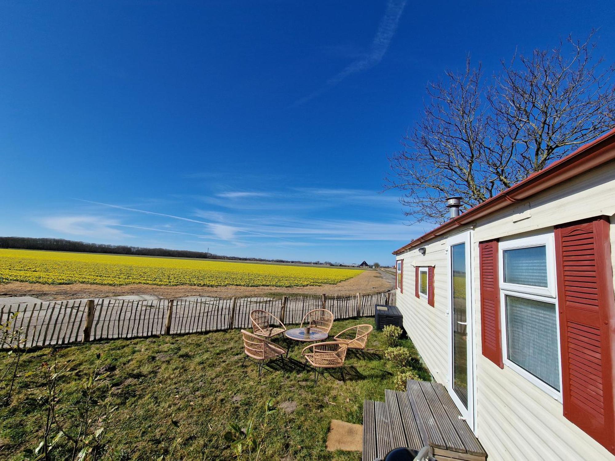 Chalet 'Como La Flor' Julianadorp Flowerfields Overview! Dış mekan fotoğraf